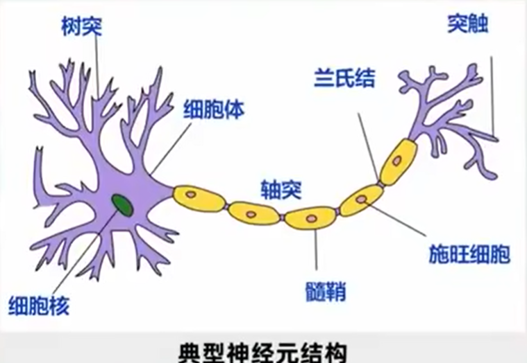 image-20241130130643781